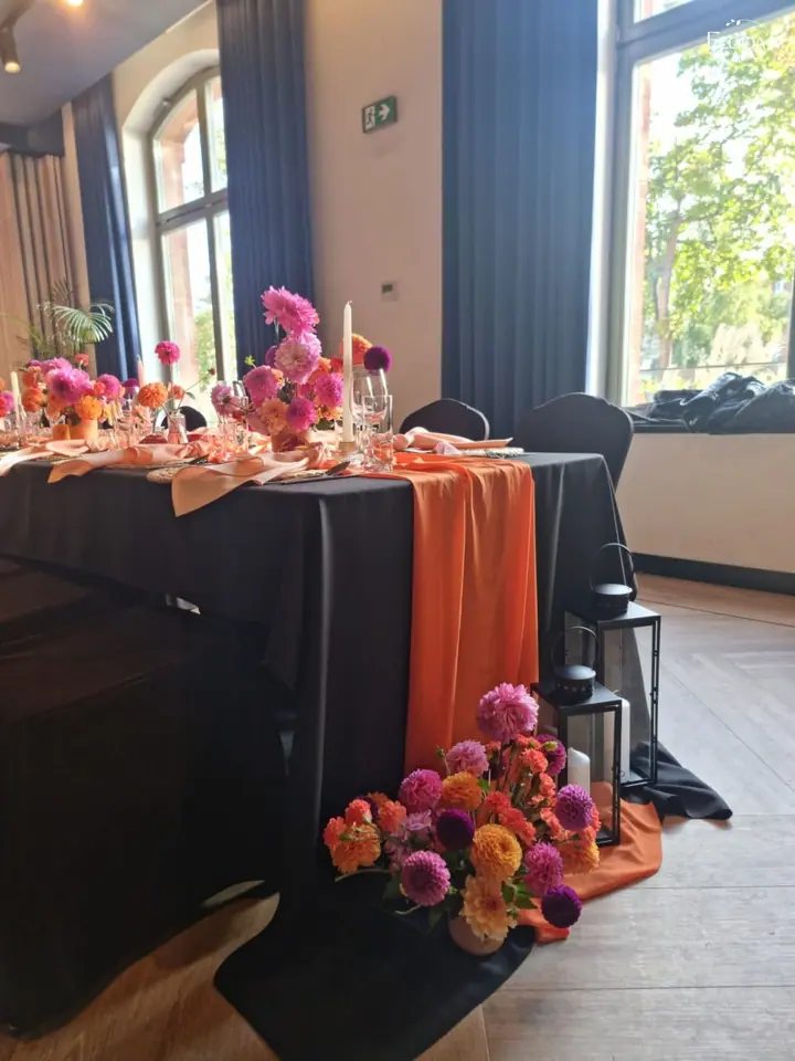 Dahlias — photo 5