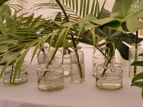 Exotic — photo 3