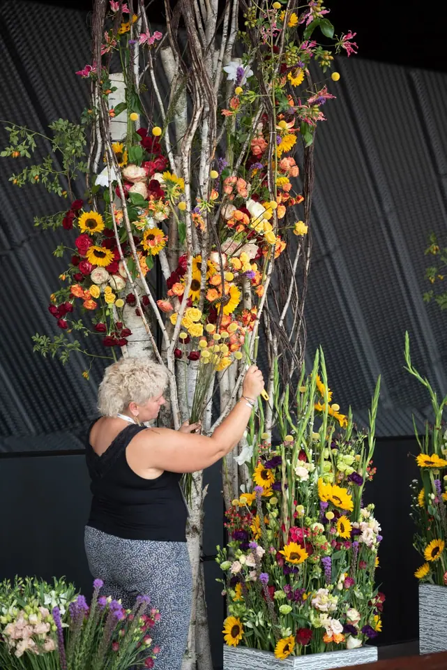 Eine Floristin arrangiert Sonnenblumen, Gerbera und Rosen an den sieben Meter hohen Birken der Installation