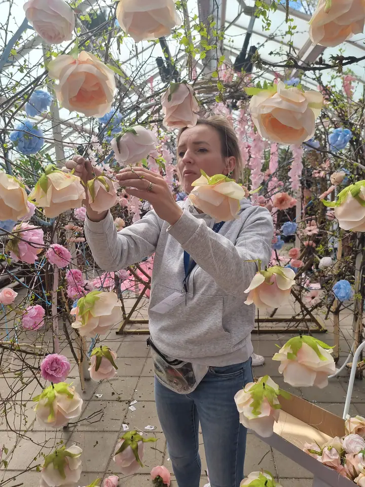 Weronika Walczak zawiesza pastelowe róże na gałęziach tunelu kwiatowego w szklarni