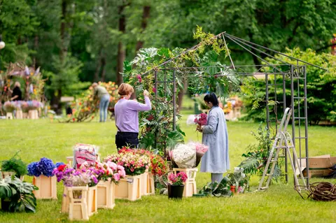 Florystki przy pergoli obsadzanej kwiatami, obok skrzynki z hortensjami i różami