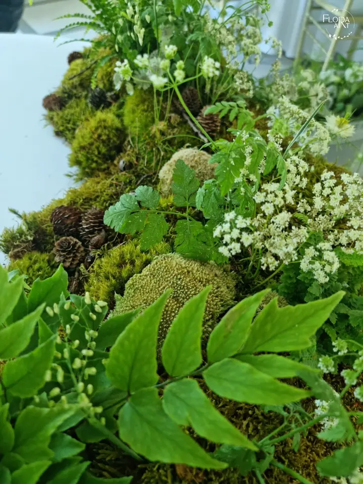 Woodland — photo 3