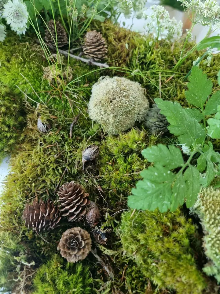 Woodland — photo 5