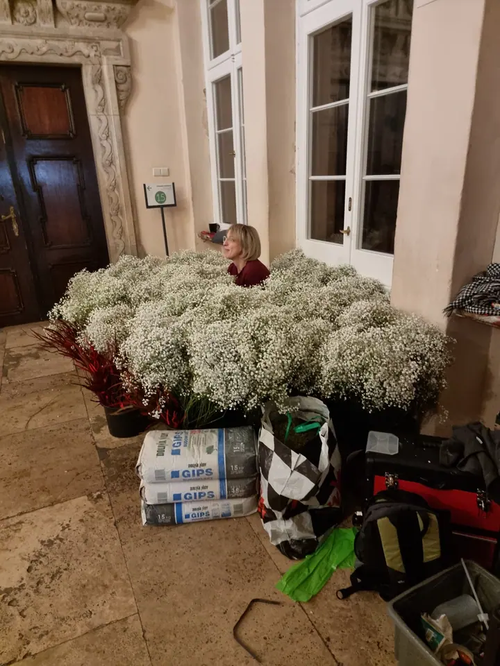 Przygotowania do wystawy: gipsówka i czerwone dodatki ułożone w sali zamku, wokół materiały florystyczne