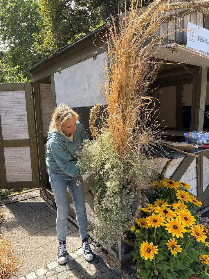 Detal: gipsówka, trawy i czosnek ozdobny obok kępy rudbekii przy ladzie stoiska