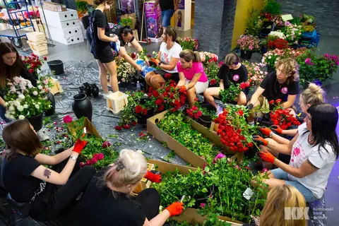 Grupa florystów na podłodze wśród skrzynek z czerwonymi różami i zielenią podczas przygotowań do 50. Święta Róży